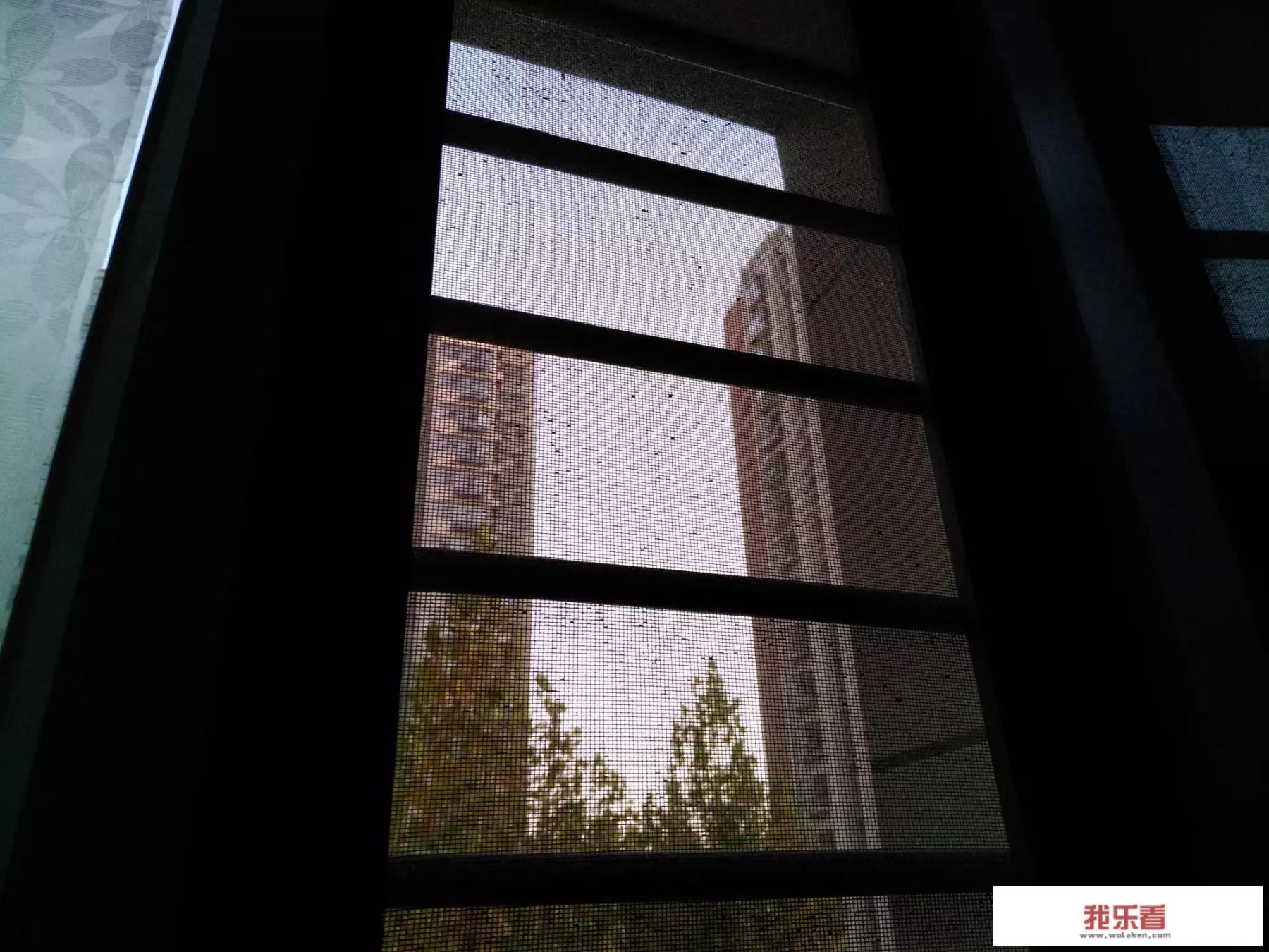 美图m8能换主题吗？
