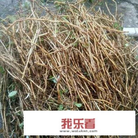 玉米面糍粑电饼铛做法？