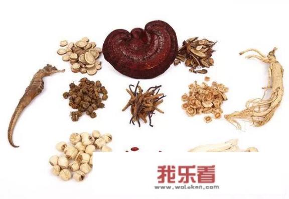 10种野生药用植物的名称（珍贵一点的）？