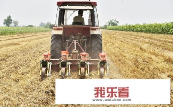 华为手机跟骁龙手机哪个好？
