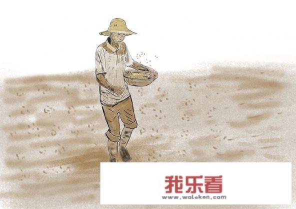 华为手机跟骁龙手机哪个好？