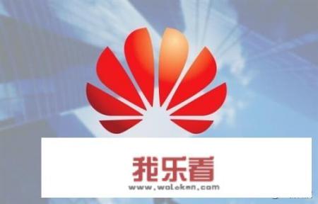 华为主要消费群体？