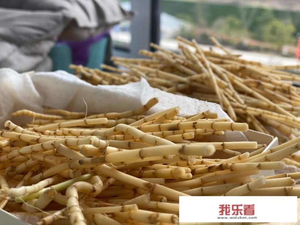 失眠的人，用5种食物煮水喝，能清肝火助睡眠，是指哪5种食物？