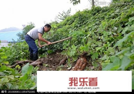葛藤怎么彻底杀除？