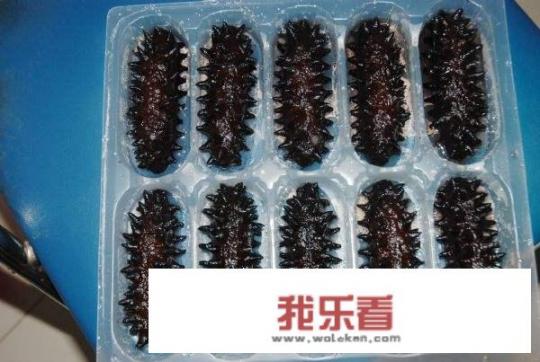 100元10个海参是真的吗？