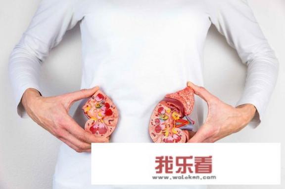 吃什么东西补肾最好？