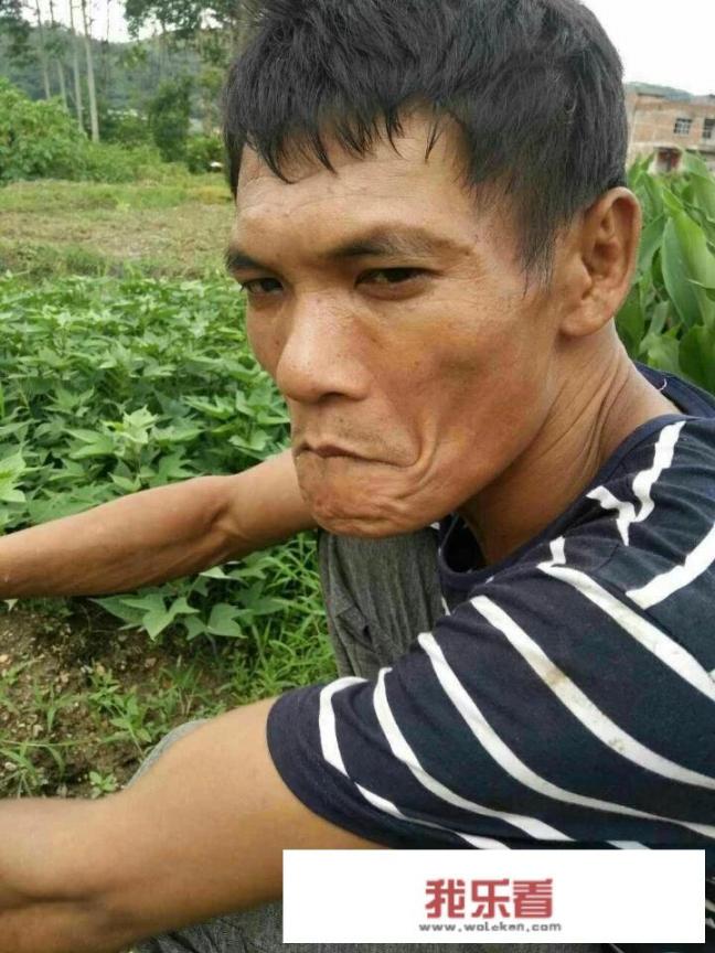 推荐几个即搞笑又逗逼的来电铃声把，谢谢各位了？