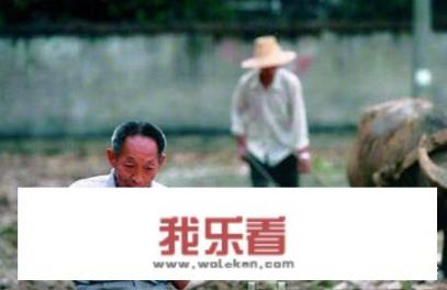 孕妇可以吃桃子吗能不能吃？