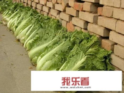 吃什么补脂肪最快？