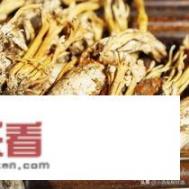 金蝉花的吃法有哪些？