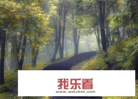 小米比华为好得多，为什么一部分人买华为？难道这部分人是因为华为卖得贵而好面子？