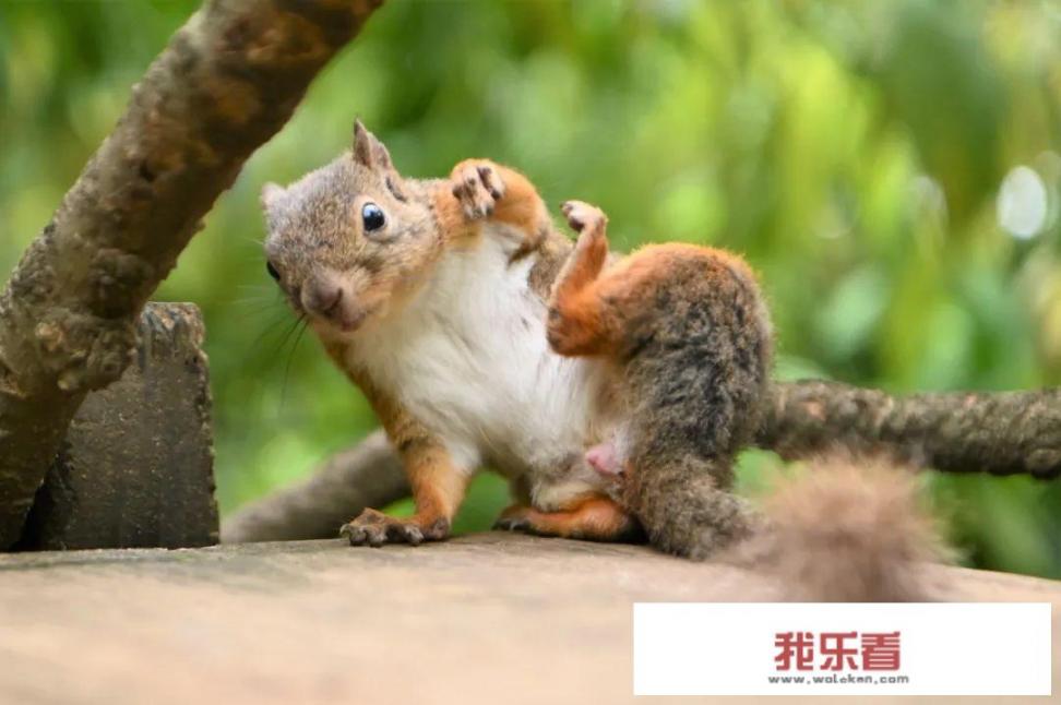 中村静香的主要作品？