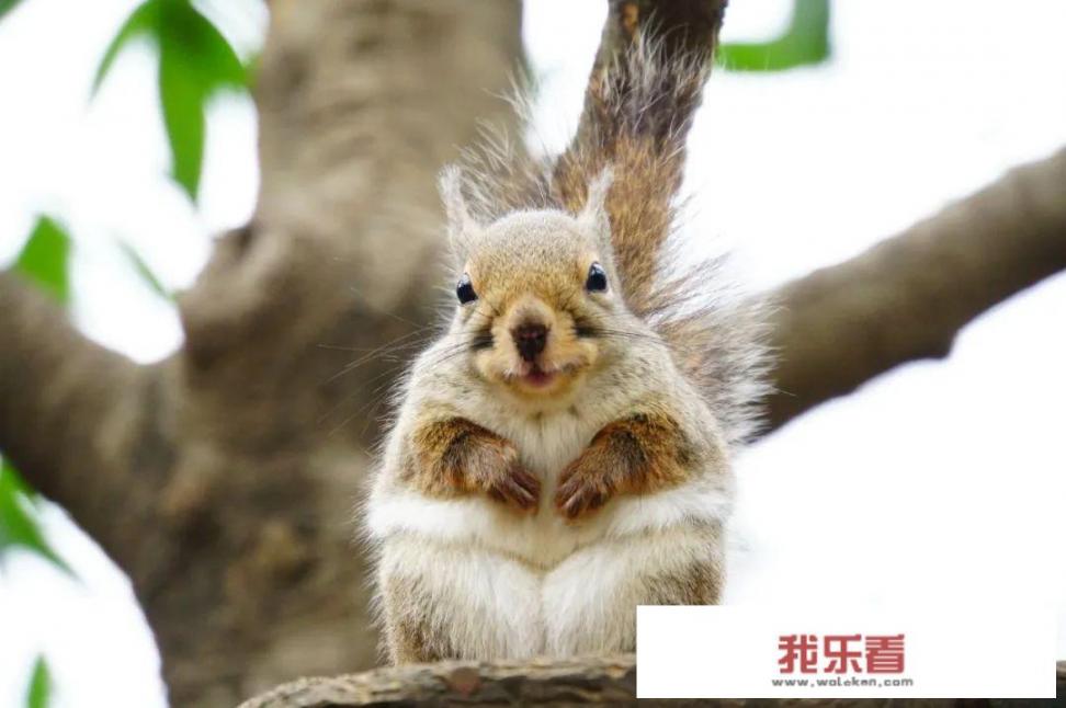 中村静香的主要作品？