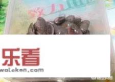 蒸蛤蜊的做法？