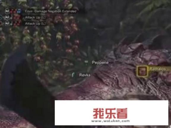 怪物猎人世界boss顺序？