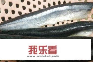 家常自制鱼罐头？