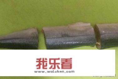 家常自制鱼罐头？