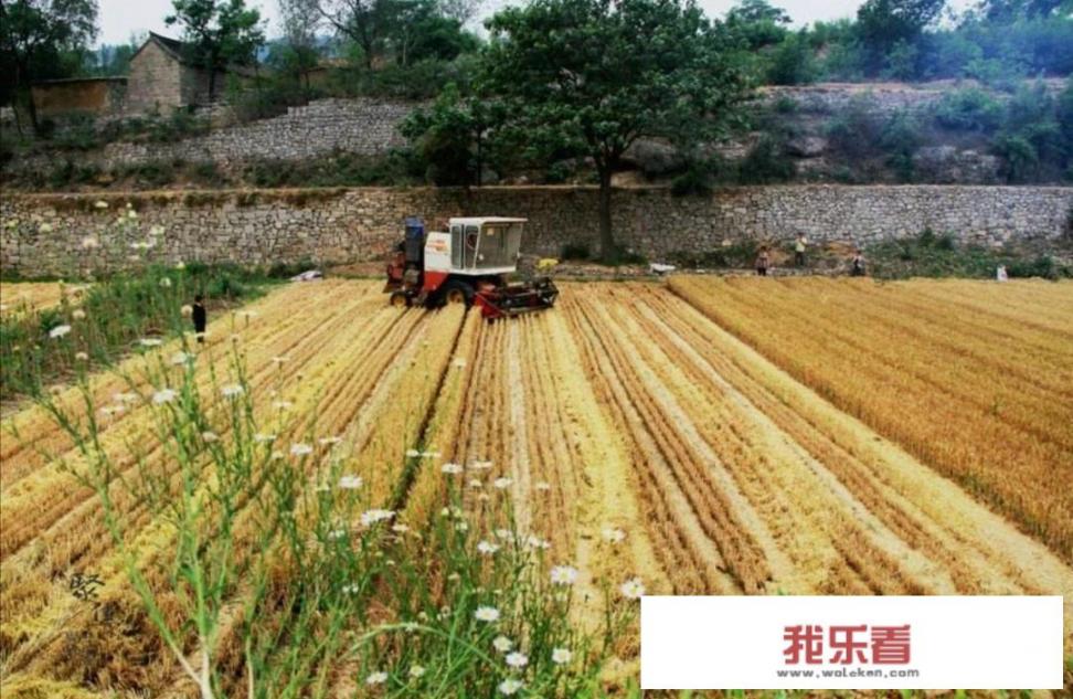 三农领域垂直视频包括哪些？如何创作优质三农视频？