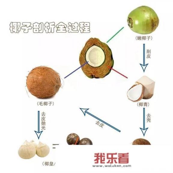 椰子煲鸡还可以放什么材料？怎样好吃？