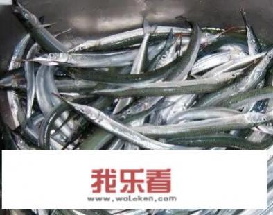真鱼怎么做才好吃？