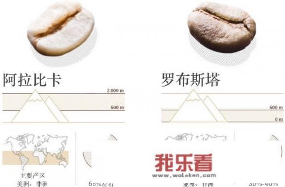 咖啡的制作方法全过程？