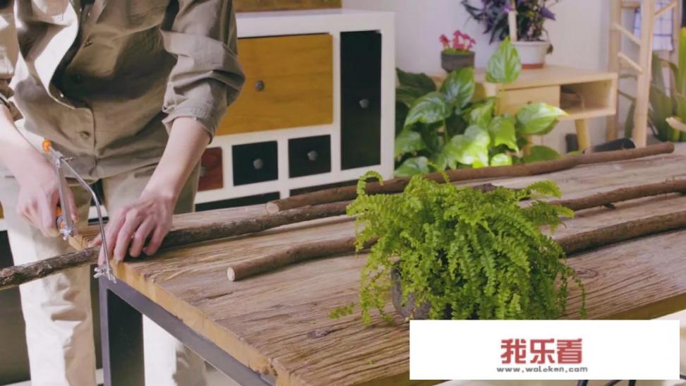 圣诞节的装饰物品有哪些？