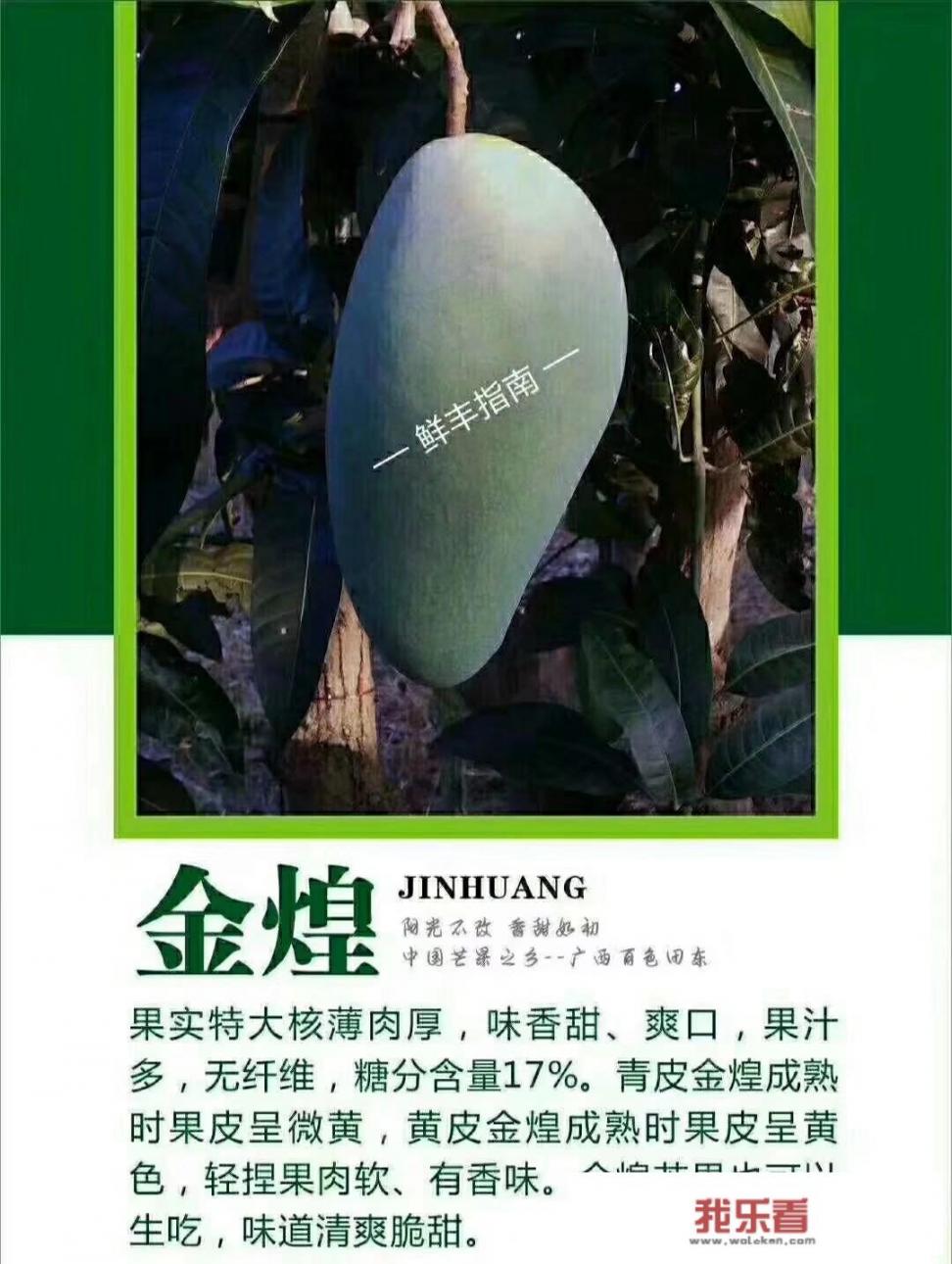 芒果冰沙的家常做法？