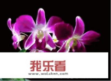 幼儿园家长发重阳节照片怎么回复？