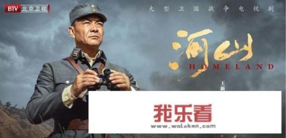 王新军主演的奇侠电视剧有几部？