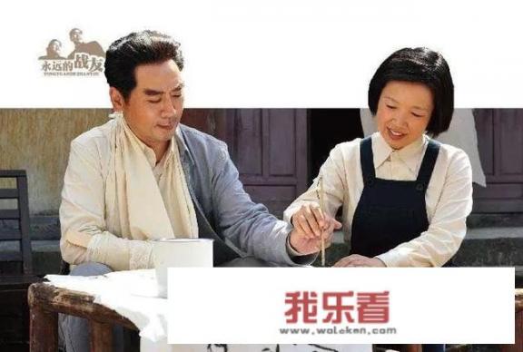 有谁知道谢兰和唐国强主演的电视剧叫什么名字？