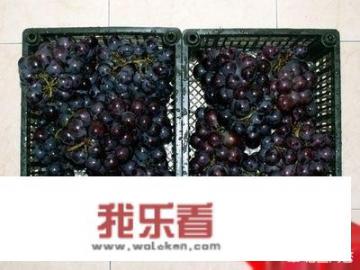 葡萄酒酿制方法全部过程？