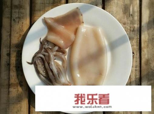 怀孕可以吃鱿鱼吗？