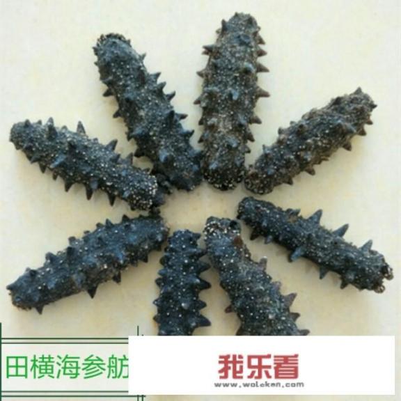 挑选海参最佳方法？