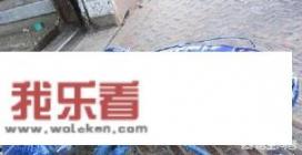 蓝色的龙虾是什么？