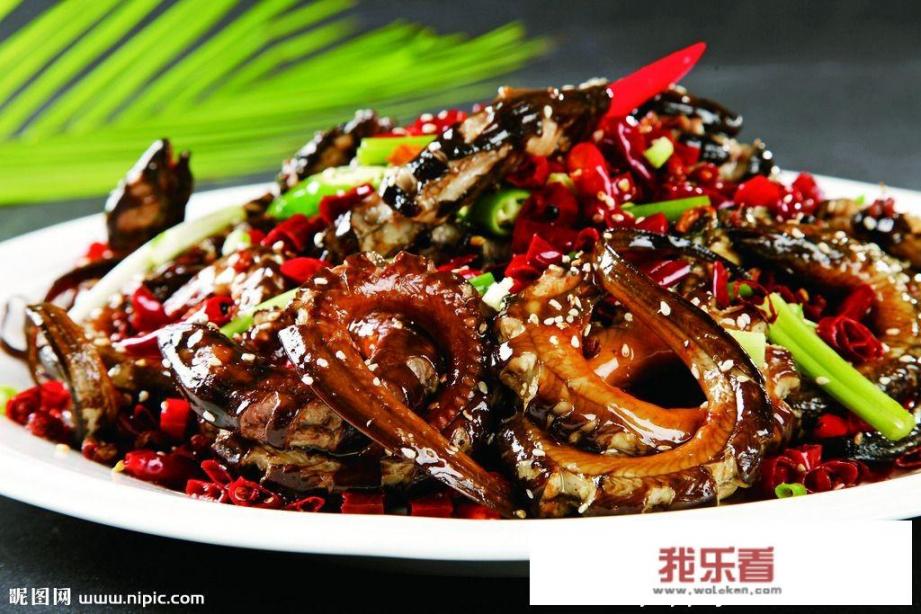 盘龙鳝与普通鳝怎样区别？