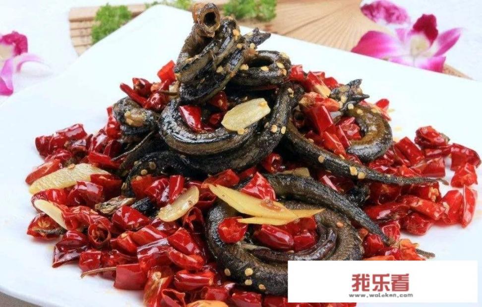 盘龙鳝与普通鳝怎样区别？
