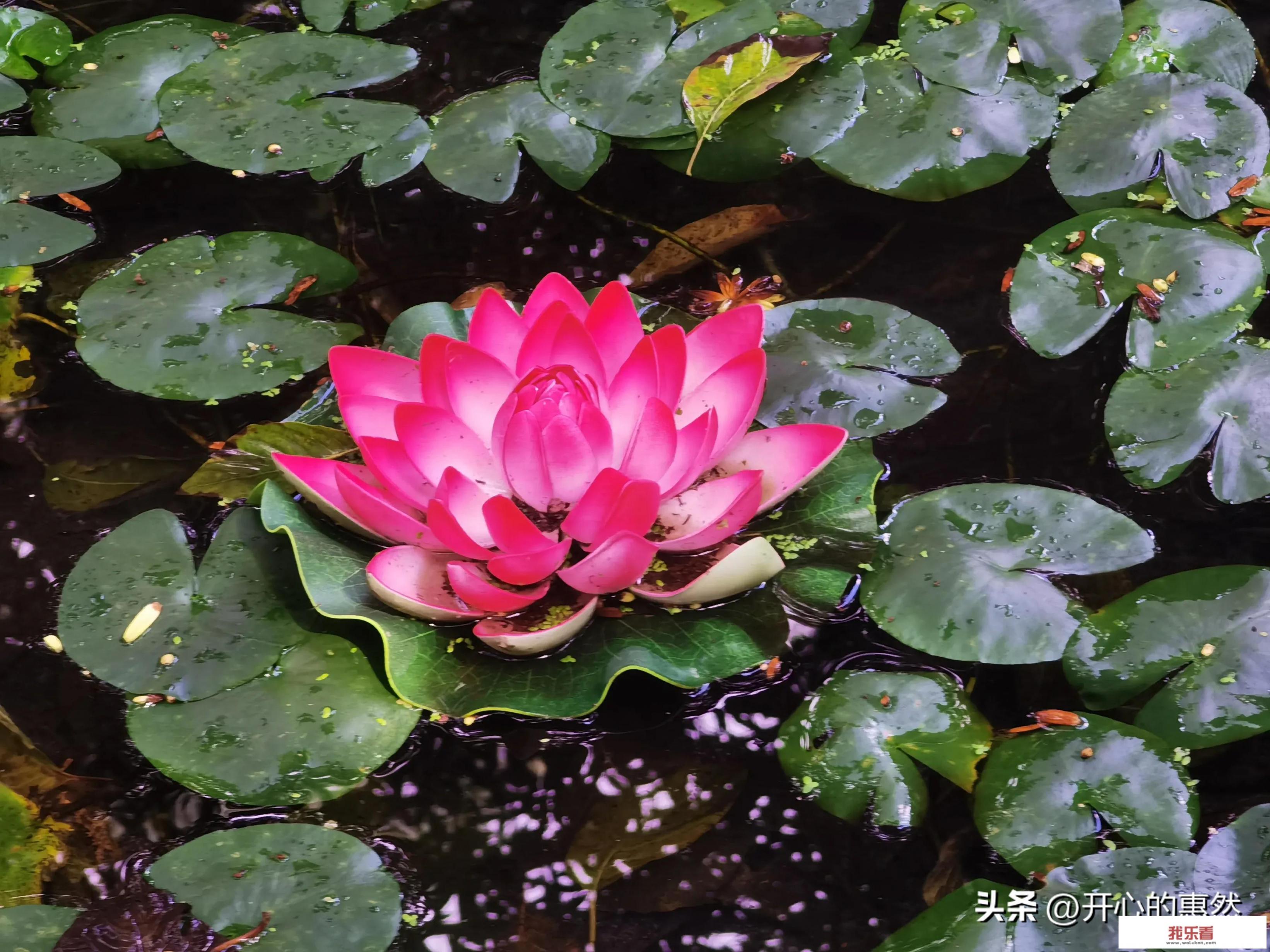 老祖宗流传下来的“养生”顺口溜，你还记得哪些？