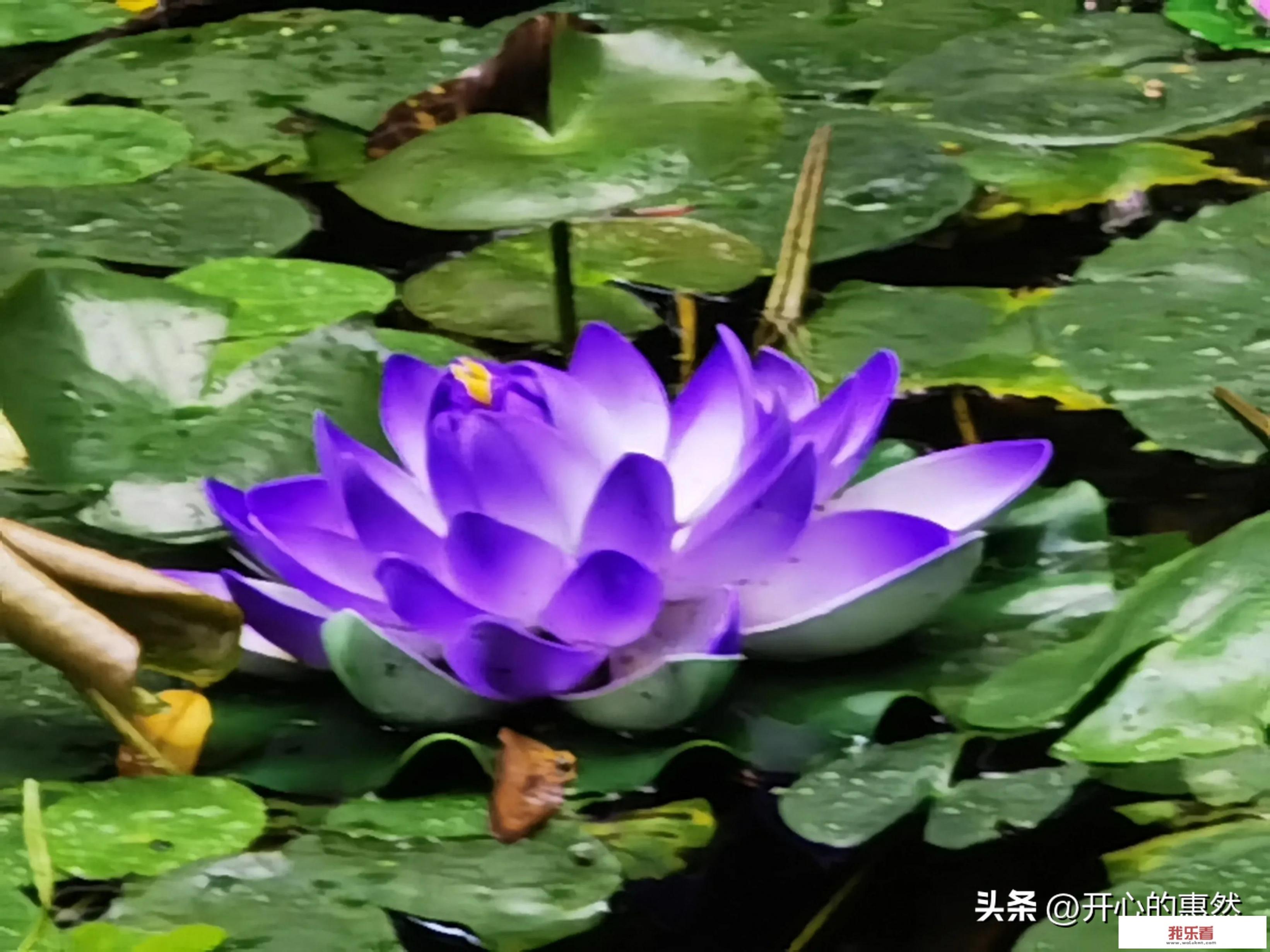 老祖宗流传下来的“养生”顺口溜，你还记得哪些？
