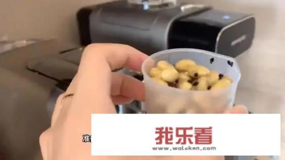 九阳老式豆浆机的打豆的步骤？
