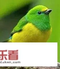 你敢晒一张自己优雅到可以入画的照片么？我想找100张做成墙纸做背景墙，有么？
