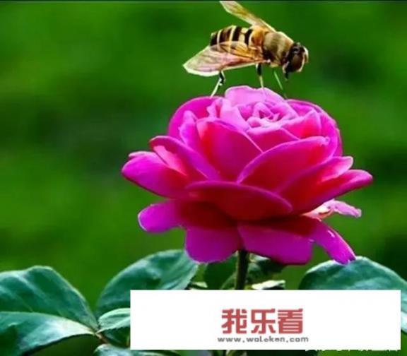 你敢晒一张自己优雅到可以入画的照片么？我想找100张做成墙纸做背景墙，有么？