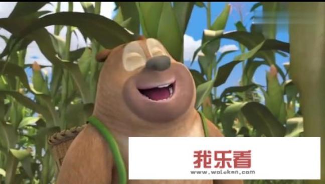 自媒体入行怎么操作？