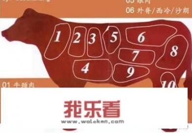 牛肉主要部位示意图及介绍，越详细越好？