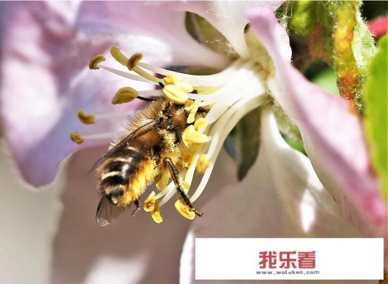 2020年的照片如何恢复到相册里？