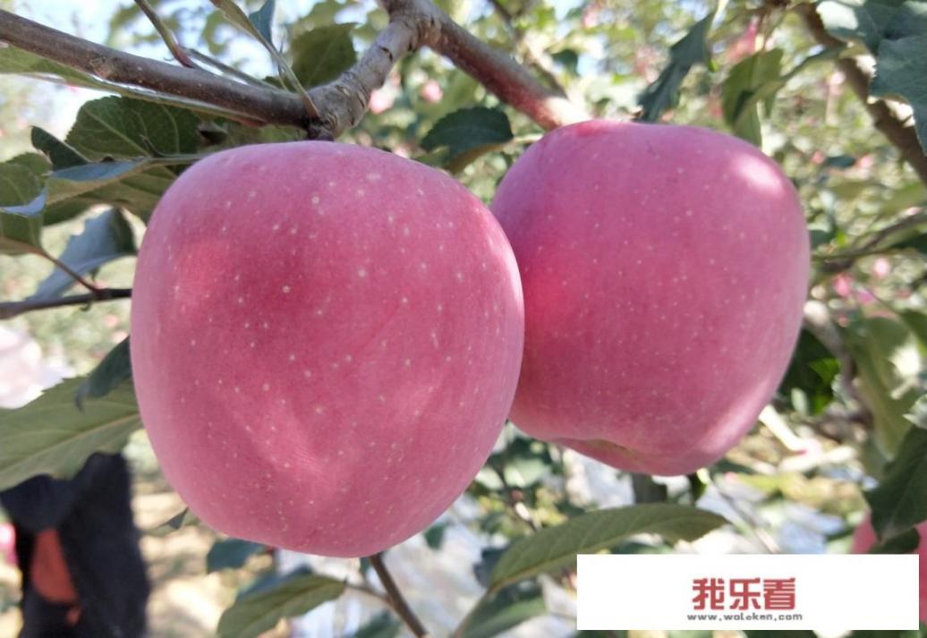同样的图片为什么苹果手机比安卓手机的好看，刚买了华为的，但是我的6s比p30pro图片还要好看？