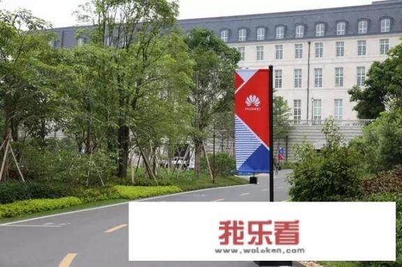 华为创业史？
