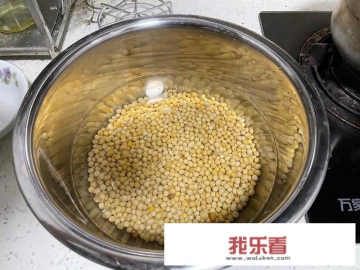 霉豆子制作和发霉步骤？