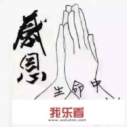 小向鲶鱼家常做法？