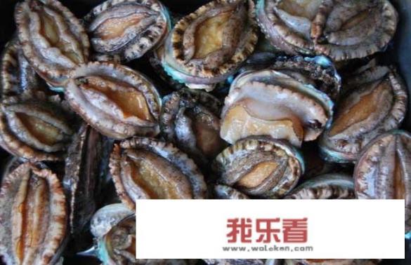鲍鱼怎么煮才软烂？
