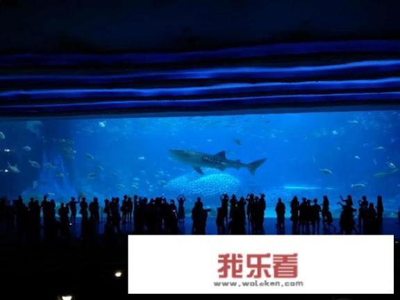 电影《杜拉拉升职记》讲的什么故事呀？